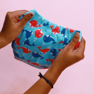 Padded Underwears With Free Diapers (Potty training pants) - Bawse Baby