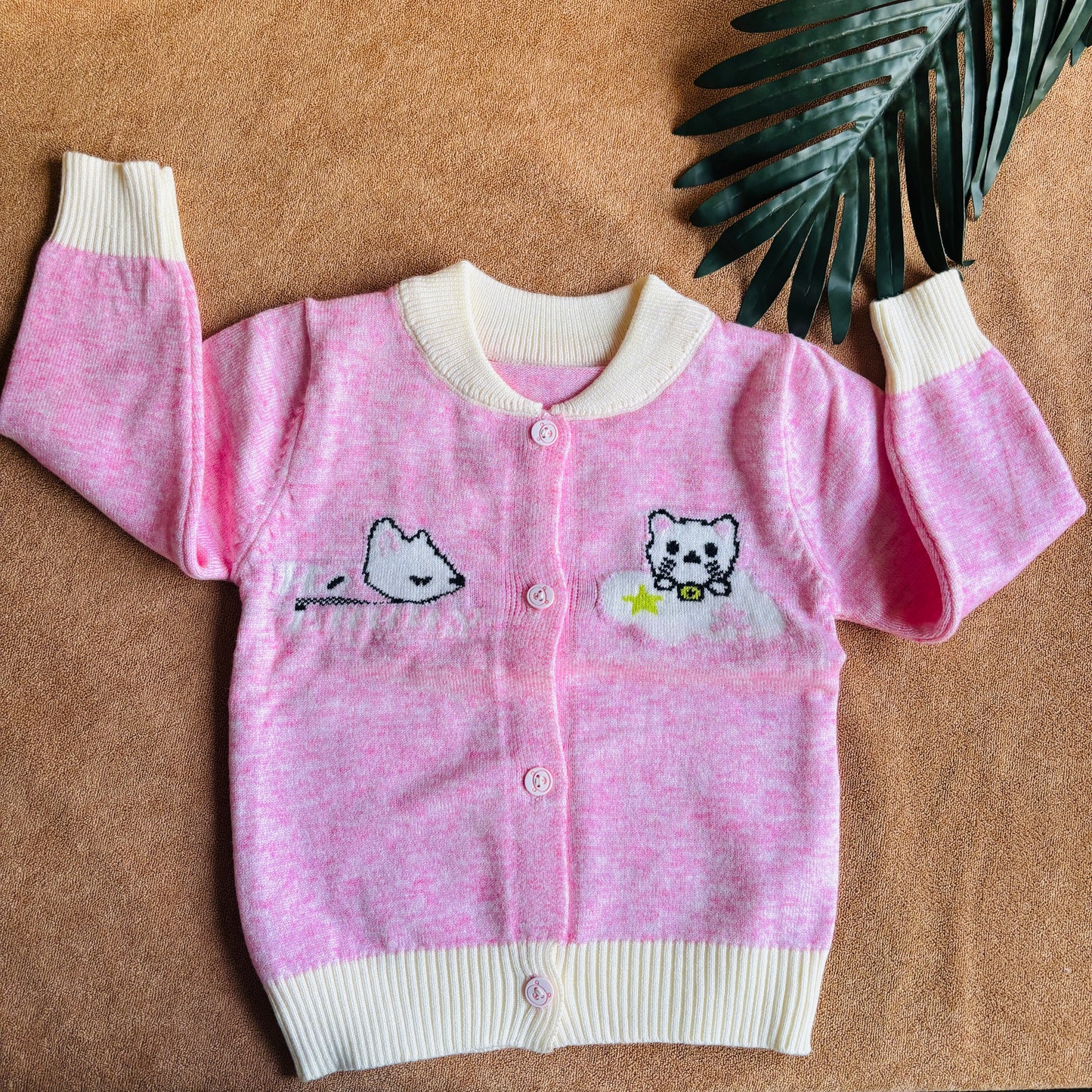 Woolen Sweaters (0-2y) Woolen