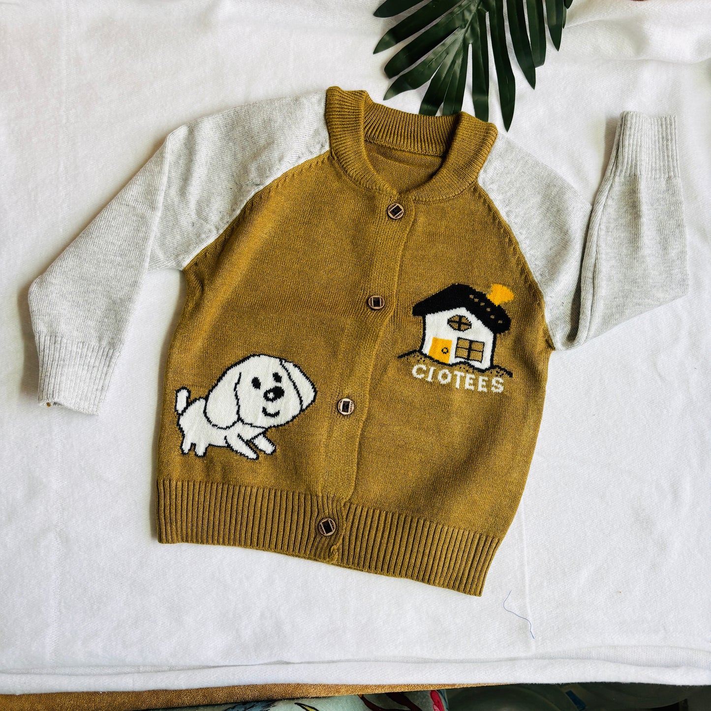 Woolen Sweaters (0-2y) Woolen
