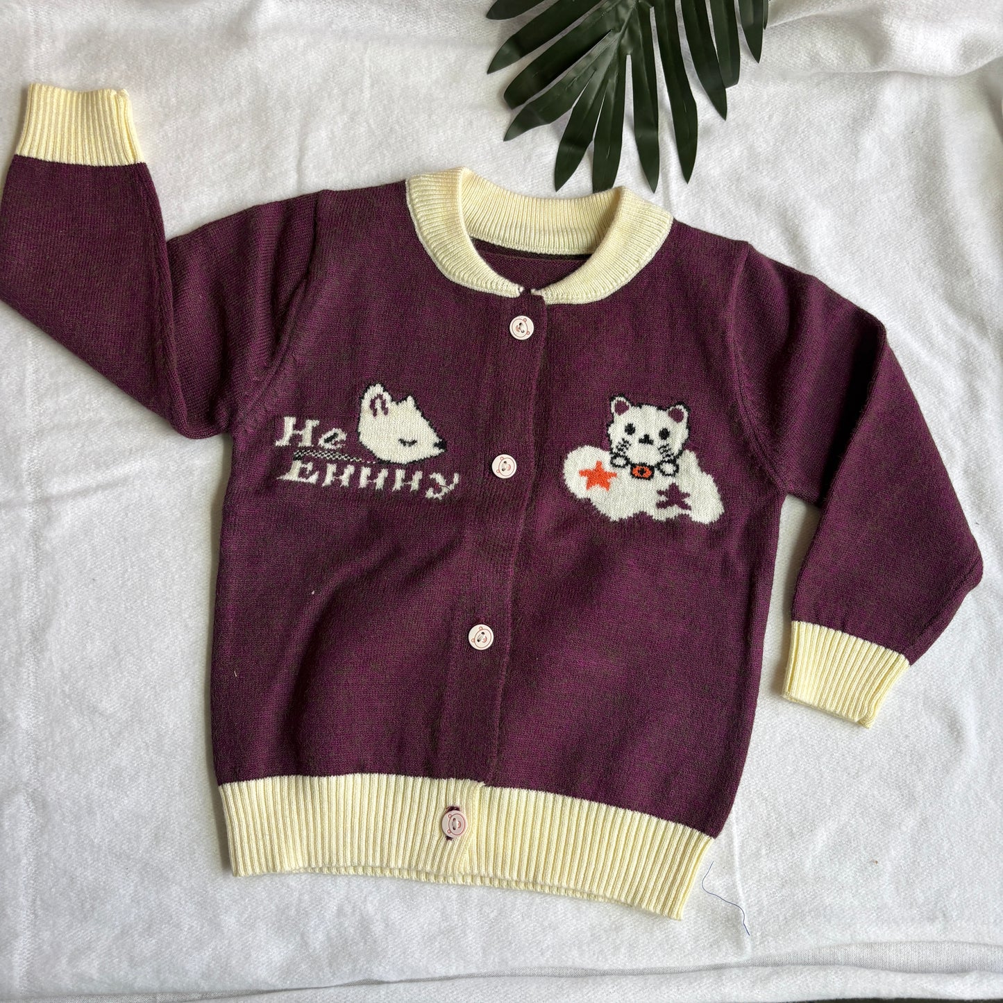 Woolen Sweaters (0-2y) Woolen