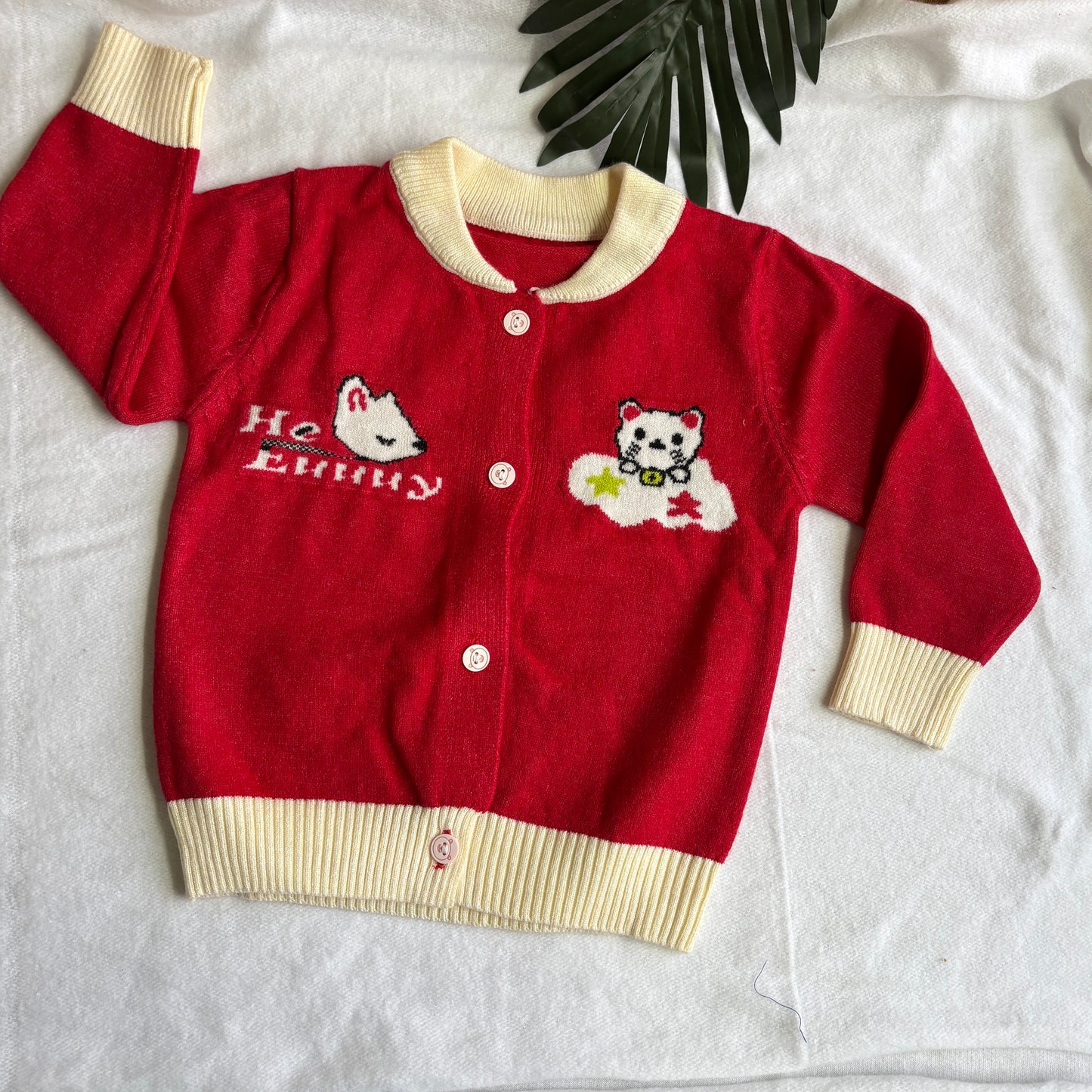 Woolen Sweaters (0-2y) Woolen